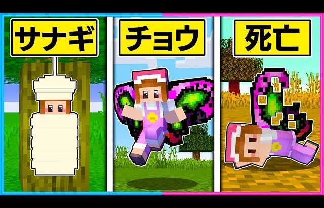 チョウになって生活するマインクラフト🦋【 マイクラ / Minecraft 】【ゲーム実況】