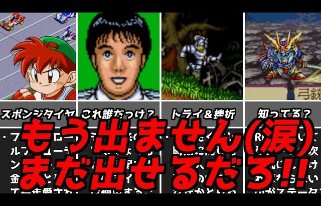 ホント一体どれだけ出したら尽きるんだよ!!スーパーファミコンジャンル別人気ソフトランキング番外編【レトロゲーム解説SFCスーファミ名作ソフト】