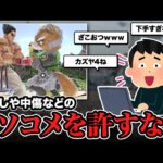 荒れがちな大会のコメント欄に対処するにはどうしたらいいのか？【スマブラSP】