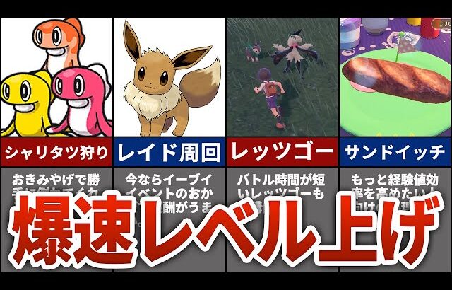 【ポケモンSV】超序盤からできる裏ワザ級のレベル上げ方法