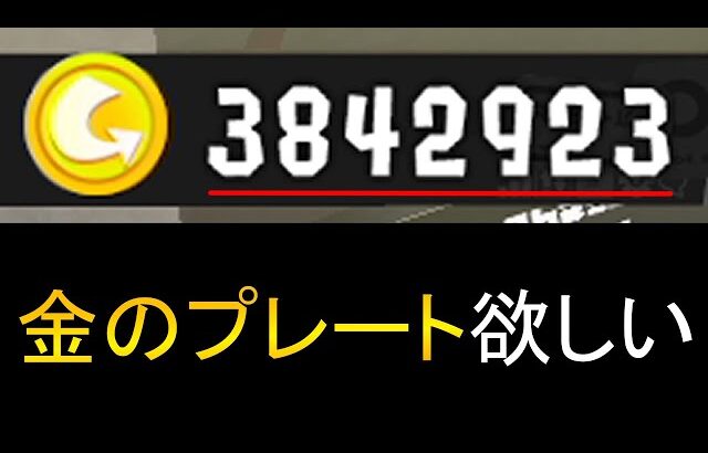 全財産を懸けてガチャ回します。【Splatoon3】