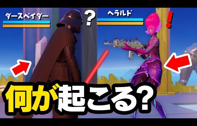 ヘラルド vs ダースベイダー / ヘラルドとダースベイダーを会わせてみたら何が起こる？??【フォートナイト / Fortnite】