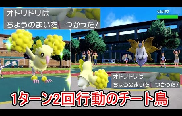 反則技で1ターンに2回”ちょうのまい”を使える「オドリドリ」が凄すぎる。【ポケモンSV実況】