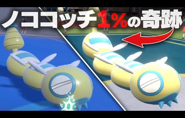 【出現率1％個体】ノココッチの激レア個体「みつふしフォルム」知ってる？【ポケモンSV】