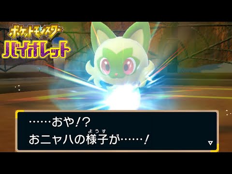 ニャオハ、立つのか？｜ポケモン バイオレット  #7