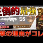 【最強で圧倒的】スピットファイア構成が強い衝撃の理由【APEX LEGENDS実況＆解説】