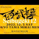 スマブラSP 西武撃#12 / Seibugeki 12 Feat. あcola, ミーヤー, Kameme, Kome, Nao, Abadango, Paseriman and more!