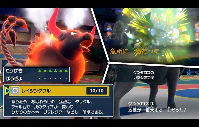 知らなきゃ一瞬で負ける「パルデアケンタロス」の専用技がヤバい…かも【ポケモンSV】