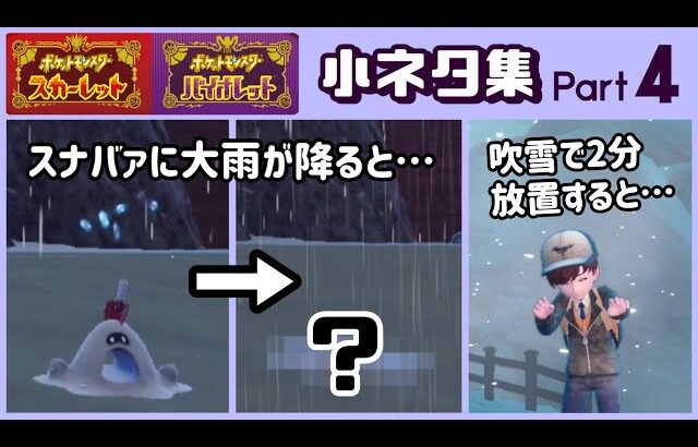 【ポケモンSV】スナバァに大雨が降ると可哀想な事に……ゲームに隠れた細かすぎる小ネタ集４【ポケットモンスター スカーレット・バイオレット】@レウンGameTV