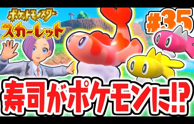 シャリタツがゲット出来ません…お寿司に見える新ポケモン!?ポケモンSV最速実況Part35【ポケットモンスター スカーレット・バイオレット】