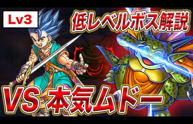 【ドラクエ6】1ミスで即終了の頭脳戦!! 本気ムドーをLv3とLv10の2人で倒す!!