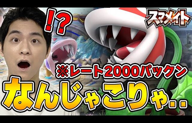 【スマブラSP】レート2000のテク過ぎるパックン使いにザクレイ大苦戦..!?【スマメイト】