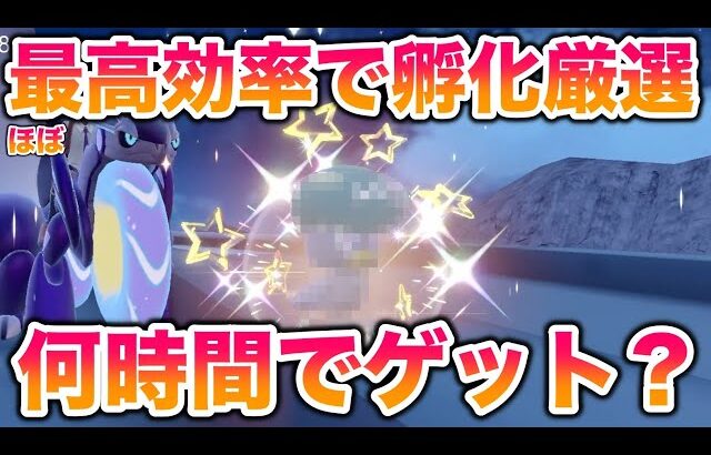 【検証】不人気御三家「クワッス」をほぼ最高効率で孵化厳選したら色違いを何時間でゲットできる？【ポケモンSV/スカバイ】