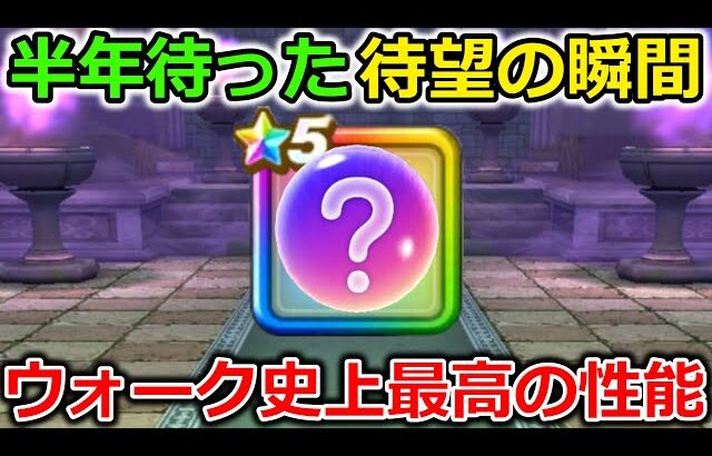 【ドラクエウォーク】半年待った待望の瞬間きたぁぁぁ！！これだけあれば他に何もいらなくなる説・・！ウォーク史上最高の性能です