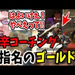 【APEX】「はよいけえ!(怒)」激辛コーチングご指名のゴールド君無事メンタル崩壊コーチング！【shomaru7/エーペックスレジェンズ】