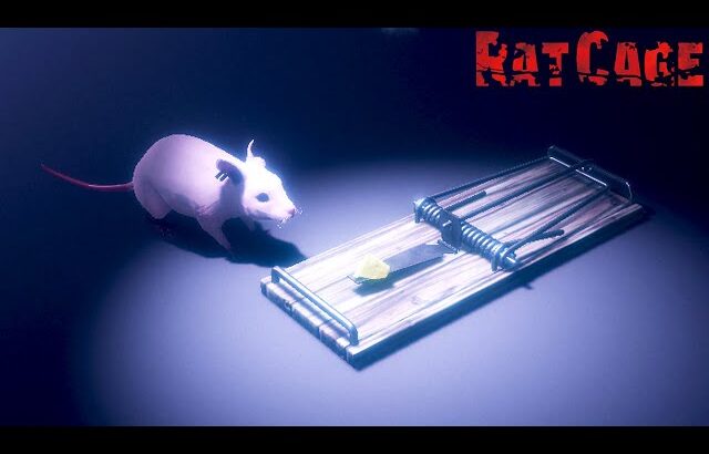 ネズミが主人公の不気味すぎるホラーゲームが怖い「 Rat Cage 」