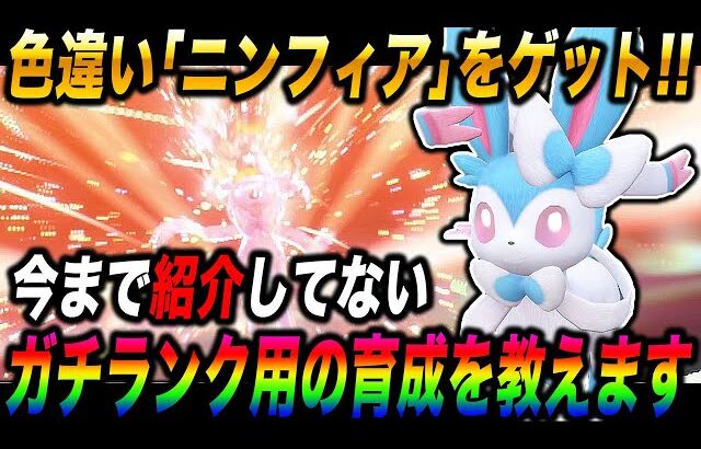 【ポケモンSV】自慢の色違いメス『ニンフィア』をゲットしたので今まで紹介してなかった努力値や技構成など教えますｗｗマジで最強のポケモンですｗｗ【スカバイ】