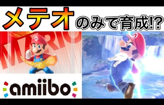 メテオを極めたマリオ使いが”amiiboマリオ”にメテオだけを教え込んだらまさかの結果になって泣いた【スマブラSP】