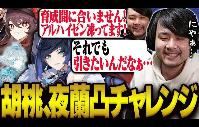 陰謀論者と戦いながら胡桃と夜蘭凸チャレンジに挑むk4sen【原神】