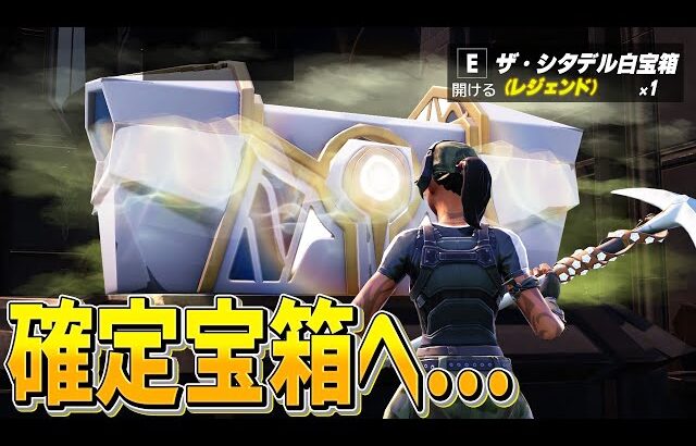 アプデで勝率爆上がりの「白チェスト確定沸き」を高く評価するネフライト【フォートナイト/Fortnite】