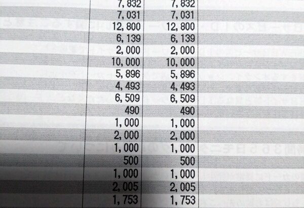 バチャ豚ワイ、今月のクレカ請求金額がコレ