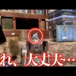 シーズン17のトレーラーはもはやAPEXではありません。【APEX　LEGENDS】