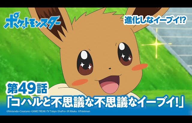 【公式】アニメ「ポケットモンスター」第49話「コハルと不思議な不思議なイーブイ！」（アニポケセレクション）