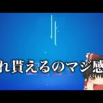 【フォートナイト】貰ったスキンが性能的に凄すぎるんだけど【ゆっくり実況】