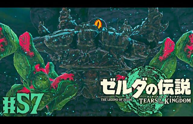 地底に巣食うボルドゴーマが強すぎる!?強化された神殿のボスを攻略しよう!!ティアキン最速実況Part57【ゼルダの伝説 ティアーズ オブ ザ キングダム】