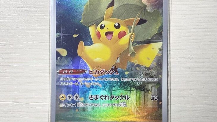 ポケモンカードの購入先で口論　40代妻をボコボコにした24歳