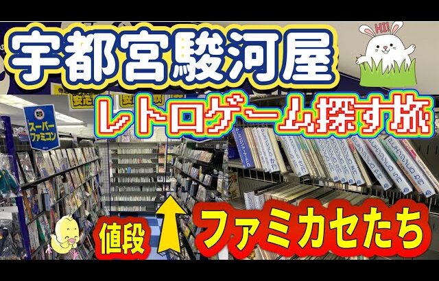 【駿河屋レトロゲーム】栃木県宇都宮に上陸！駿河屋でレトロゲームを探索！こんなに在庫があるなんて！レトロファンは必見！【ゲームショップ巡回】