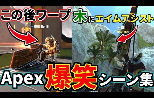 【爆笑】Apex 面白クリップ集⑭『エイムアシストが効く木、えぺまつりで八雲べにがミニガンから瞬間移動ｗｗ 他 』 | Apex Legends