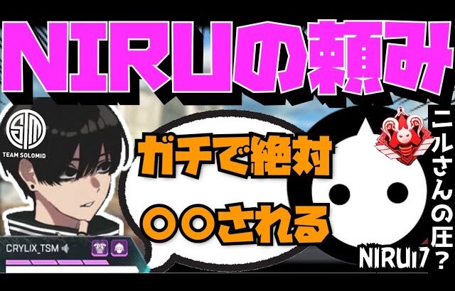 【Crylix】「ガチ怖いからね？」NIRUさんからのお願いの圧にビビるCRYLIX【日本語字幕】【Apex】【Crylix/切り抜き】