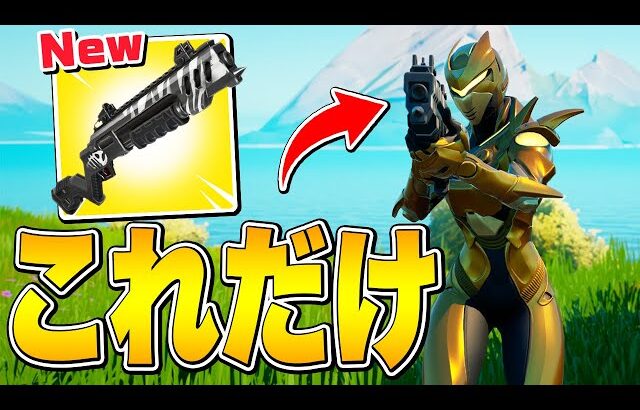 武器は新ポンプ「インフィルトレーターSG」だけでソロランク勝てるのか!?【フォートナイト/Fortnite】