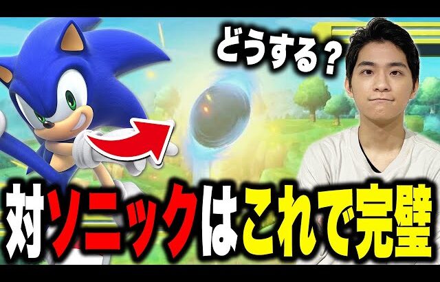 【スマブラSP】ザクレイのVIPソニック対策！スピンは◯◯でOK！