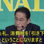 岸田文雄「消費税を引き下げると買い控えが起こる恐れがある」
