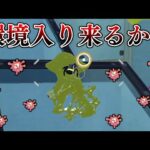 アプデにより覚醒した短射程シューターがこちら。【スプラトゥーン3】