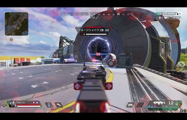 約一年ぶりにサイレント強化されたCARでソロ 4000ダメージ【APEX LEGENDS】