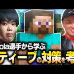 世界王者”あcola”選手から学ぶ『スティーブの対策』を考察！！【スマブラSP】