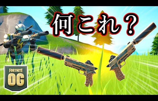 【フォートナイト】こんな武器あったっけ…？