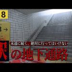 ほぼ実写！？駅の地下から脱出するだけのホラーゲームで精神崩壊しそう！【８番出口】鳥の爪団実況