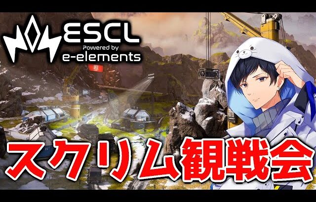 【神視点】大会まで1ヶ月　ESCL Apex Legends Test #92 【APEX】