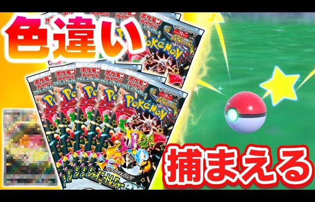 【神引き】シャイニートレジャーBOX開封で出た色違いをSVで捕まえます！【ポケモンSV】【ポケモンカード】【ゆっくり実況】