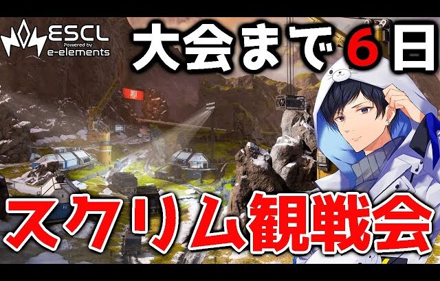 【神視点】本番想定プロスクリムBvsC　ESCL Apex Legends  《Group1》【APEX】