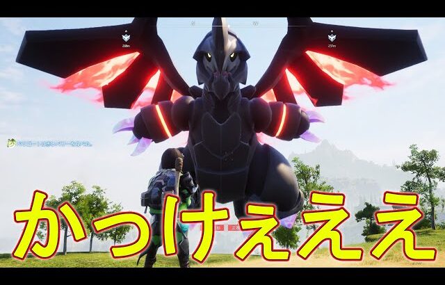 最強のドラゴンを仲間にしたぞ！！　#10　【パルワールド】