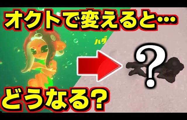 サイドオーダーのキャラ設定画面がオクトと連動しているか調べたら…ヤバかったです【スプラトゥーン3】