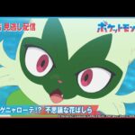 【公式】アニメ「ポケットモンスター」第51話 「トゲトゲニャローテ！？ 不思議な花ばしら」-期間限定配信-