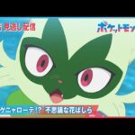 【公式】アニメ「ポケットモンスター」第51話「トゲトゲニャローテ！？不思議な花ばしら」（見逃し配信）