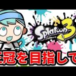 王冠を必ず手に入れる配信【スプラトゥーン３３３】