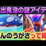 【ポケモン史上最難解】最近よく聞く「ばんのうがさ」って一体何なの？？ポケモン廃人がガチ解説します